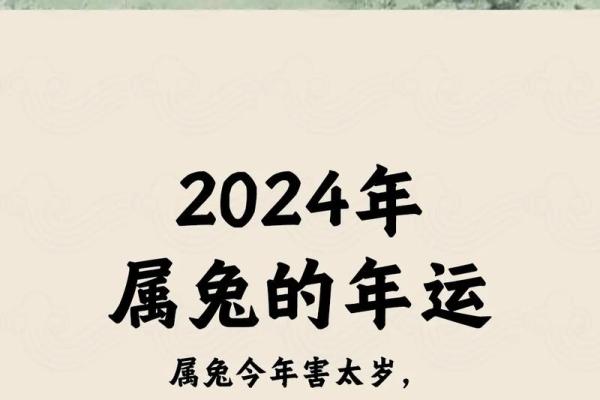 属兔2025年虚岁多大_2025年属兔人虚岁多大详细年龄计算指南 属兔2025年虚岁多大_2025年属兔人虚岁多大详细年龄计算指南