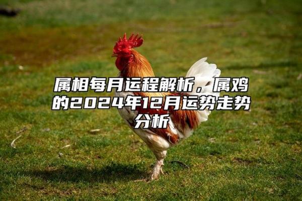 57年属鸡人今年多少岁_57年属鸡人2023年多大年龄计算与运势解析 57年属鸡人今年多少岁_57年属鸡人2023年多大年龄计算与运势解析