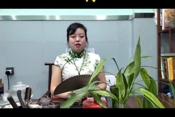 属狗2025年运程_属狗2025年运程怎么样 属狗2025年运程_属狗2025年运程怎么样