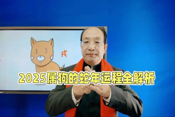 2025属狗的人的全年运势如何_2025属狗的人的全年运势如何呢 2025属狗的人的全年运势如何_2025属狗的人的全年运势如何呢