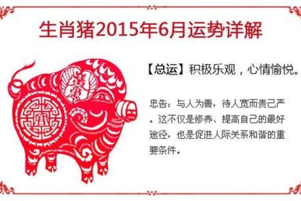 2013年属猪人的全年运势 83年猪财运最旺的三年 2013年属猪人的全年运势 83年猪财运最旺的三年