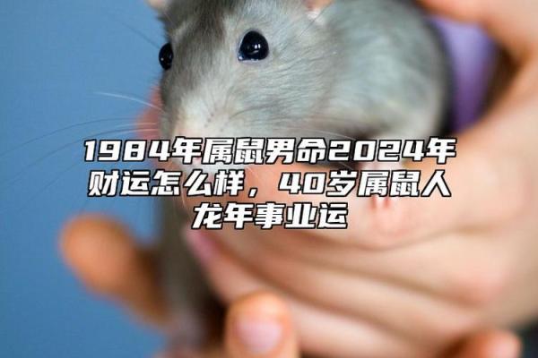 1996年属鼠男今年运势 1996年属鼠男今年运势
