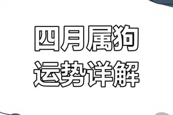 属狗今日运势解析财运亨通机遇与挑战并存 属狗今日运势解析财运亨通机遇与挑战并存