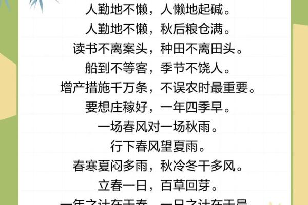 2024立春时间几点几分 2024立春时间几点几分