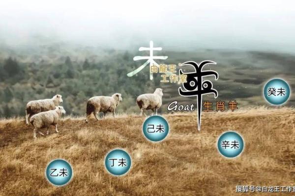 属羊2025年全年运势运程_属羊的2025年运势运程 属羊2025年全年运势运程_属羊的2025年运势运程