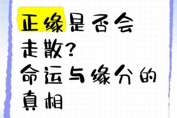 两个人的缘分真的是上天注定的吗揭秘命运与选择的奥秘 两个人的缘分真的是上天注定的吗揭秘命运与选择的奥秘