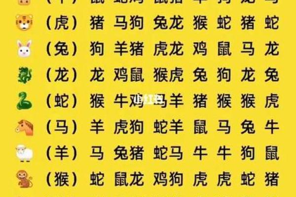 属鼠的和什么属相最配 属鼠的和什么属相相克 属鼠的和什么属相最配 属鼠的和什么属相相克