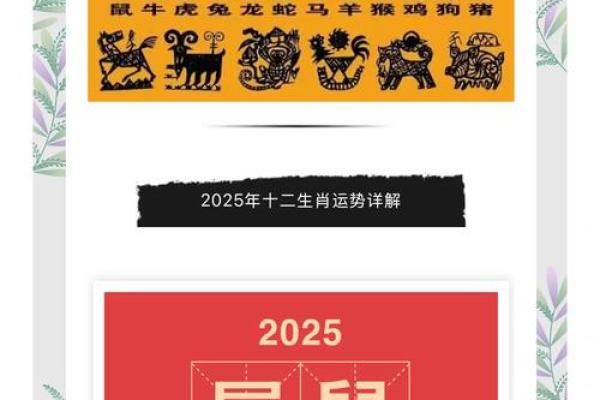 2025年属鼠人的全年运势1996出生 2025年属鼠人的全年运势1996出生