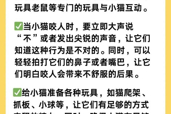 梦见被猫咬了不松口是什么意思 梦见被猫咬了不松口是什么意思