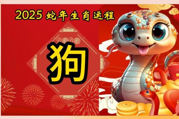 2025年属狗的运势和财运1982年 1982属狗43岁后有十年大运 2025年属狗的运势和财运1982年 1982属狗43岁后有十年大运