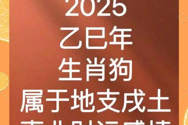 2025属狗的幸运色是什么色_2025年属狗幸运色揭秘助你运势飙升的色彩指南 2025属狗的幸运色是什么色_2025年属狗幸运色揭秘助你运势飙升的色彩指南