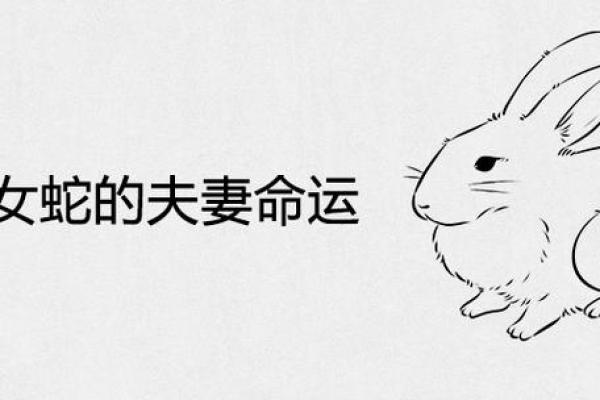 蛇和兔子属相婚配如何_男兔女蛇千万别在一起 蛇和兔子属相婚配如何_男兔女蛇千万别在一起