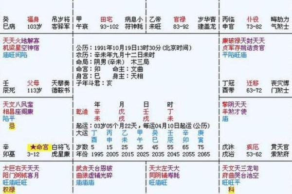 2025年4月13日酉时男命紫微斗数全解盘 2025年4月13日酉时男命紫微斗数全解盘