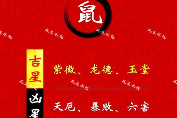 2025年属鼠每月运势 2025年属鼠每月运势