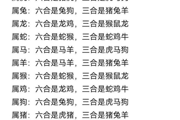 眼观六路是什么生肖 眼观六路是什么生肖