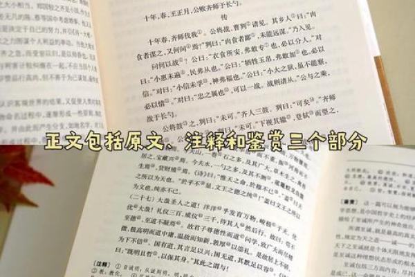 四书五经指什么生肖(四书五经指哪个生肖) 四书五经指什么生肖(四书五经指哪个生肖)