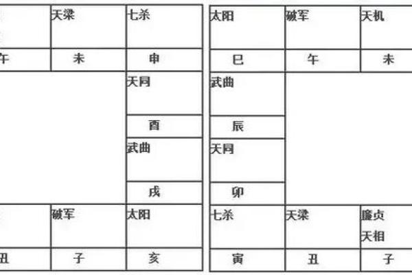 2025年4月3日卯时女命紫微斗数全解盘 2025年4月3日卯时女命紫微斗数全解盘