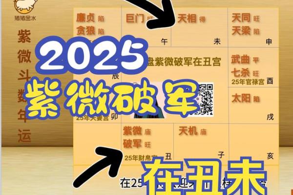 2025年4月3日卯时女命紫微斗数全解盘 2025年4月3日卯时女命紫微斗数全解盘