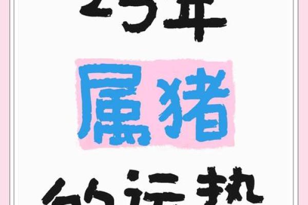 2025年属猪人几岁年龄计算与运势解析_1739487431 2025年属猪人几岁年龄计算与运势解析_1739487431