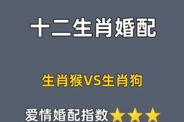 属狗女最佳婚配 属狗女最佳婚配