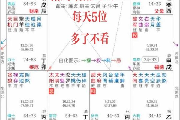 2025年4月7日巳时男命紫微斗数全解盘