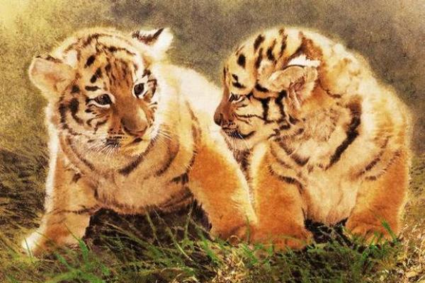 心安理得是什么生肖(心安理得打一数字) 心安理得是什么生肖(心安理得打一数字)