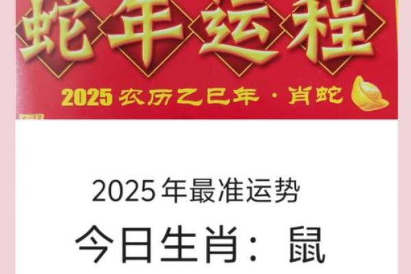 2025年属鼠运势及运程 2025年属鼠运势及运程