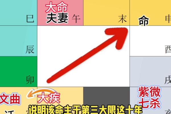 2025年4月10日辰时女命紫微斗数全解盘 2025年4月10日辰时女命紫微斗数全解盘