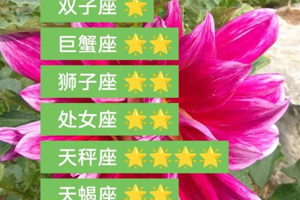 金牛女今天运势最准 金牛女今天运势最准