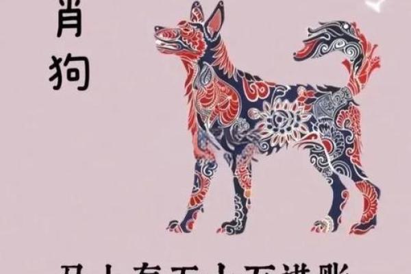 1970年的狗今日财运_70年属狗人发横财的年龄 1970年的狗今日财运_70年属狗人发横财的年龄