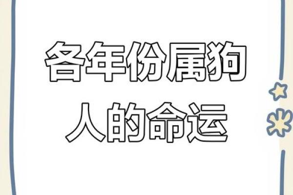 1994年属狗今年运势_1994年属狗2023年运势解析事业财运爱情全攻略 1994年属狗今年运势_1994年属狗2023年运势解析事业财运爱情全攻略
