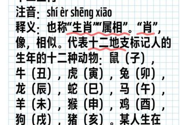 屡战屡败代表什么生肖 屡战屡败代表什么生肖