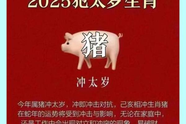 2025年属猪的幸运颜色和饰品_2025年属猪幸运颜色与饰品指南提升运势必备