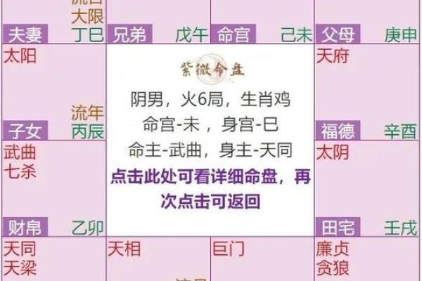 2025年4月22日卯时女命紫微斗数全解盘 2025年4月22日卯时女命紫微斗数全解盘