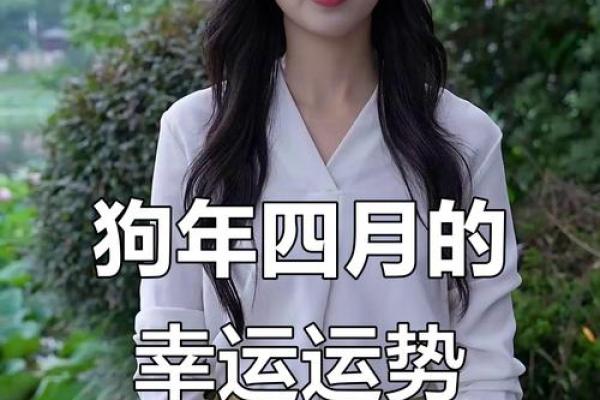 2024年生肖属狗的运势 2024年生肖属狗运势详解财运事业爱情全解析 2024年生肖属狗的运势 2024年生肖属狗运势详解财运事业爱情全解析
