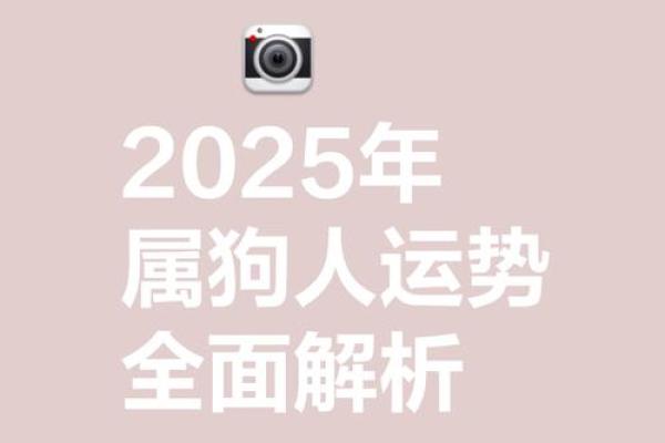 2025年属狗男孩高考运势解析06年出生者必看 2025年属狗男孩高考运势解析06年出生者必看