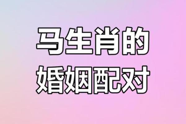 2002年的马婚配最佳属相 2002年的马婚配最佳属相是什么 2002年的马婚配最佳属相 2002年的马婚配最佳属相是什么