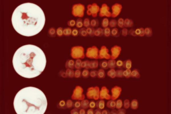 2025年属马2月份运势_属马2025年运势及运程详解每月 2025年属马2月份运势_属马2025年运势及运程详解每月