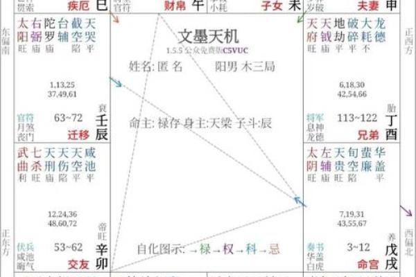 2025年4月29日丑时男命紫微斗数全解盘 2025年4月29日丑时男命紫微斗数全解盘