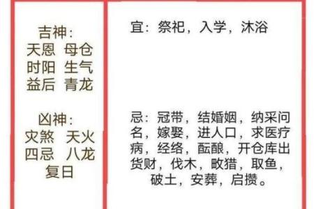 忌动土(忌动土是什么意思)