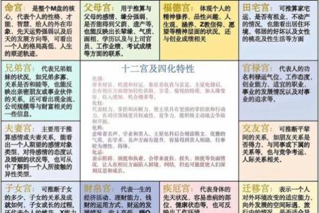 夫妻宫 紫薇_紫薇斗数解析夫妻宫如何影响婚姻运势
