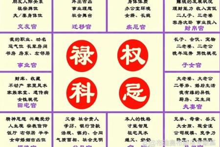 夫妻宫化禄入财帛宫_夫妻宫化禄入财帛宫财运与婚姻的双重提升解析