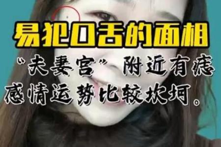 夫妻宫在子揭秘命理中的婚姻运势与幸福密码