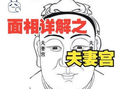 夫妻星和夫妻宫的区别 夫妻星与夫妻宫的区别解析命理中的婚姻奥秘