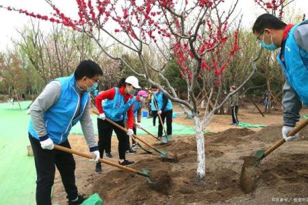 栽树属于动土吗