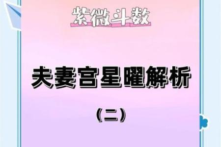 夫妻宫紫微 夫妻宫紫微解析揭秘婚姻运势与幸福密码