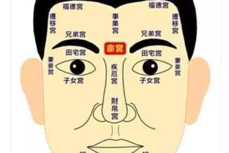 福德宫无主星_福德宫无主星详解