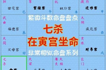 2025年3月2日寅时男命紫微斗数全解盘
