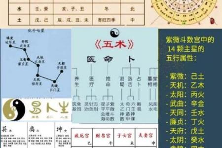 北派紫微斗数_北派紫微斗数揭秘古老命理学的现代应用