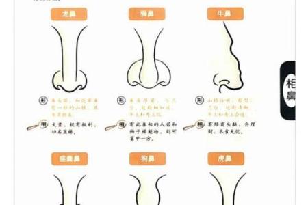 大耗在财帛宫财运波动的关键因素解析